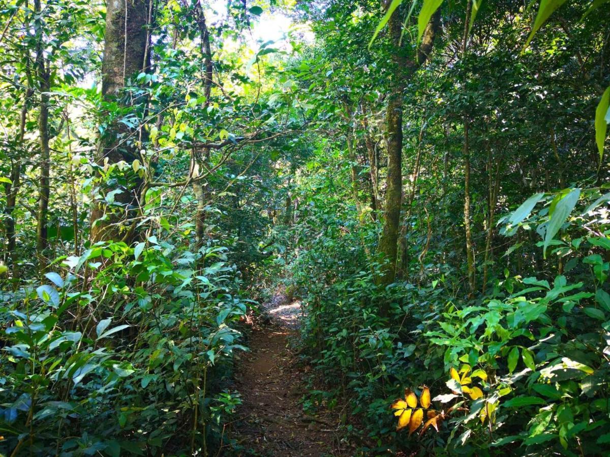 Quality Cabins Monteverde 外观 照片